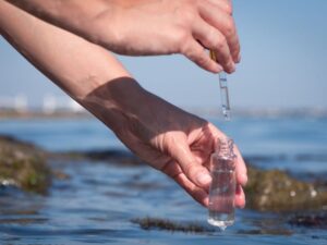 purificar agua de mar